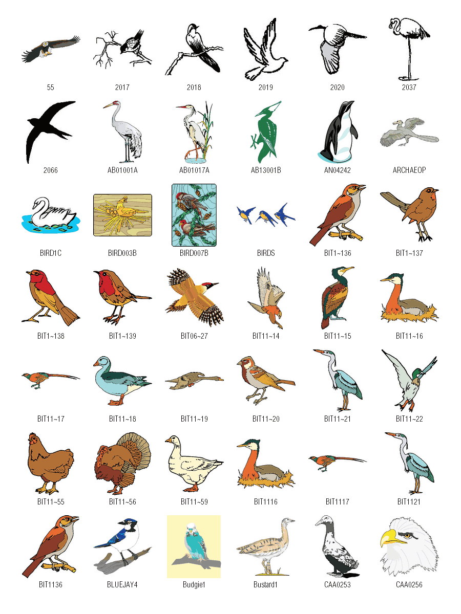 Birds free vector clipart free download | VectorForAll