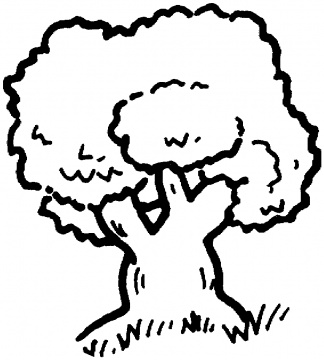 Pix For > Bare Tree Outline Coloring Page
