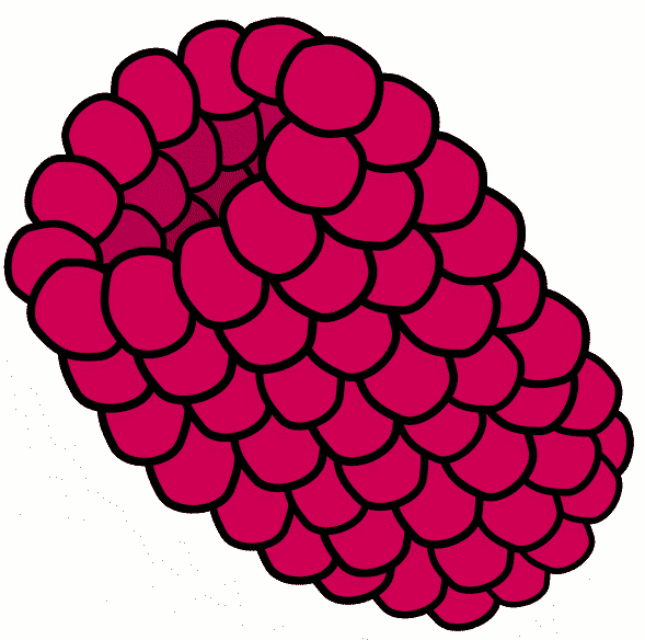 Raspberry Clip Art Download