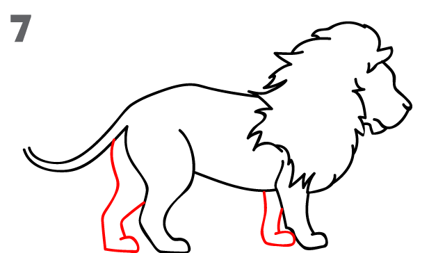 How To Draw a Lion - Step-