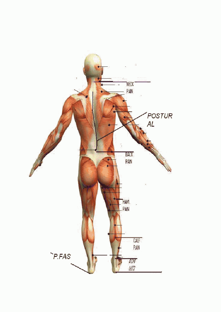 Foot Myth | Fairview Physiotherapy and Sports Injury Clinic