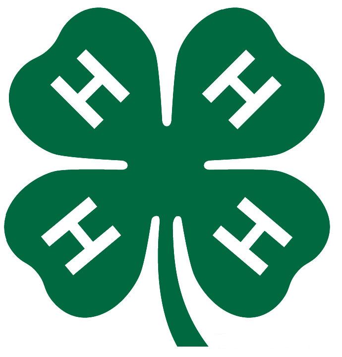 4 H Clover Symbol