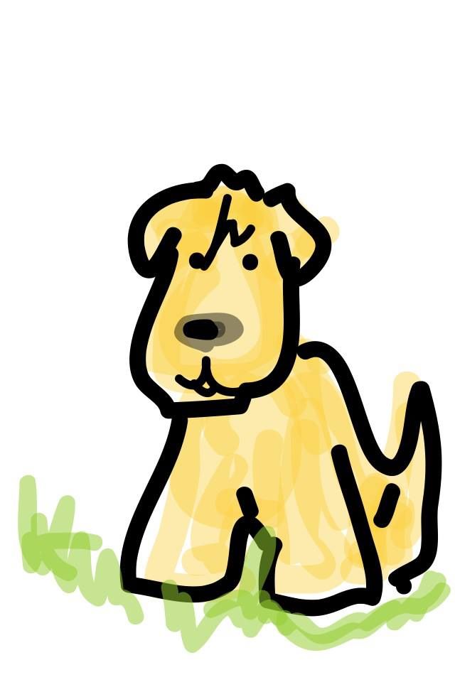 Wheaten Terrier drawing. | Wheaten Terrier " ANI " our newest family …