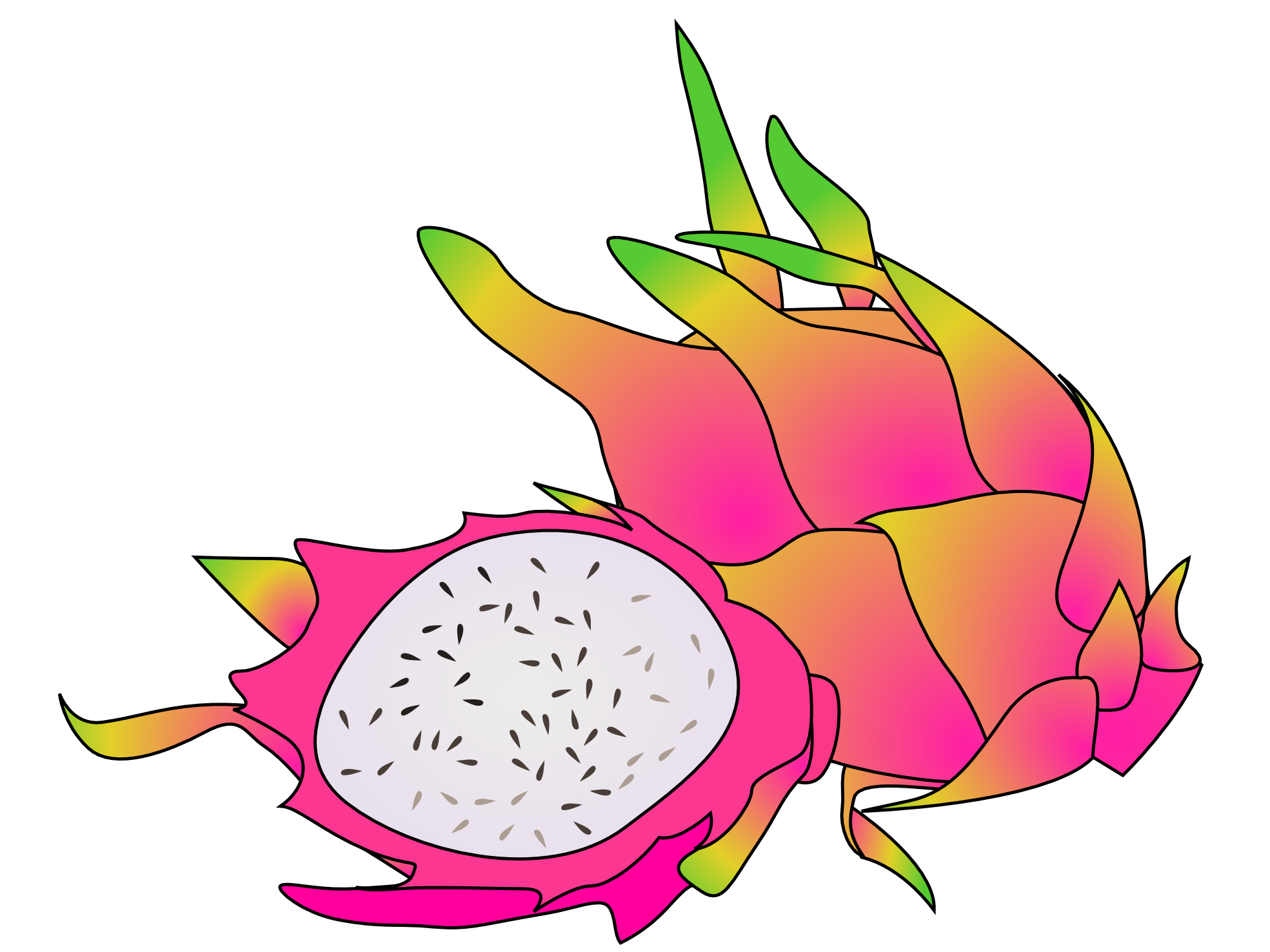 clipartist.net » Clip Art » dragon fruits clipartist.net 2012 June ...