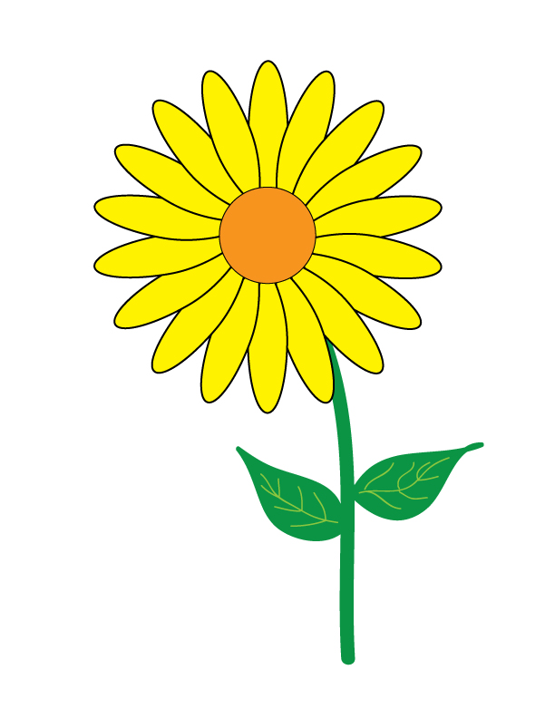 Simple Flower in Illustrator   Working with Objects and Tools ...