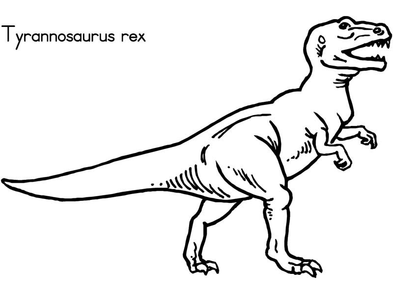 dinosaur line drawing - cliparts.co