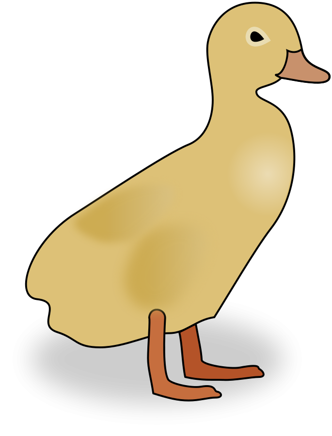 Duckling large 900pixel clipart, Duckling design
