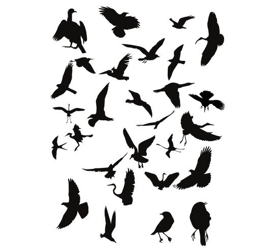 Vector Birds Silhouettes