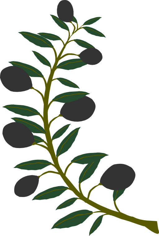 Pin Olive Tree Branch Tattoo on Pinterest