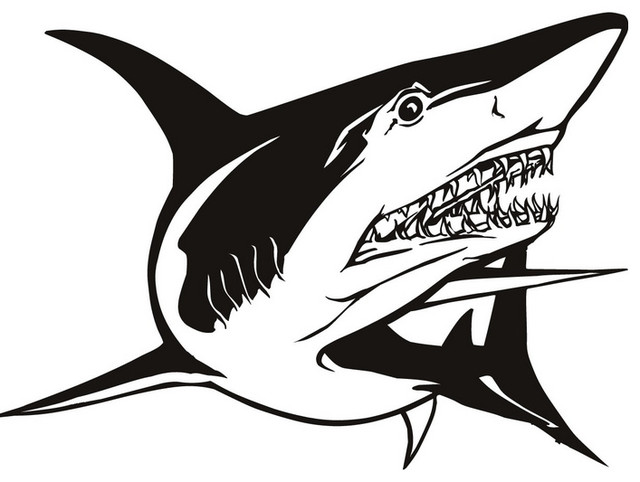Great White Shark Animals Under Sea Wall Decal - Modern - Decals ...