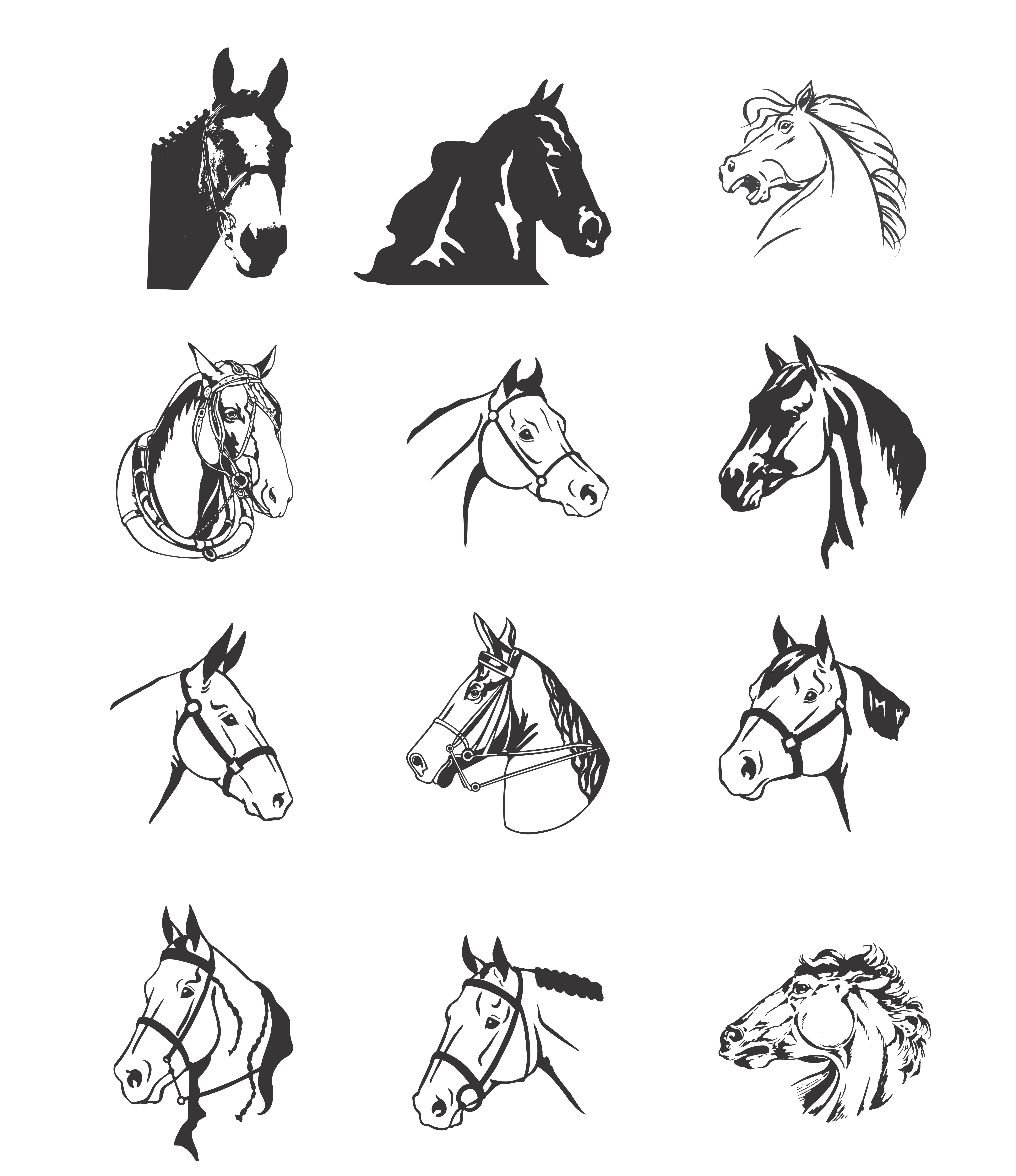 Horse & Horseshoe Tattoos, Designs And Ideas : Page 81