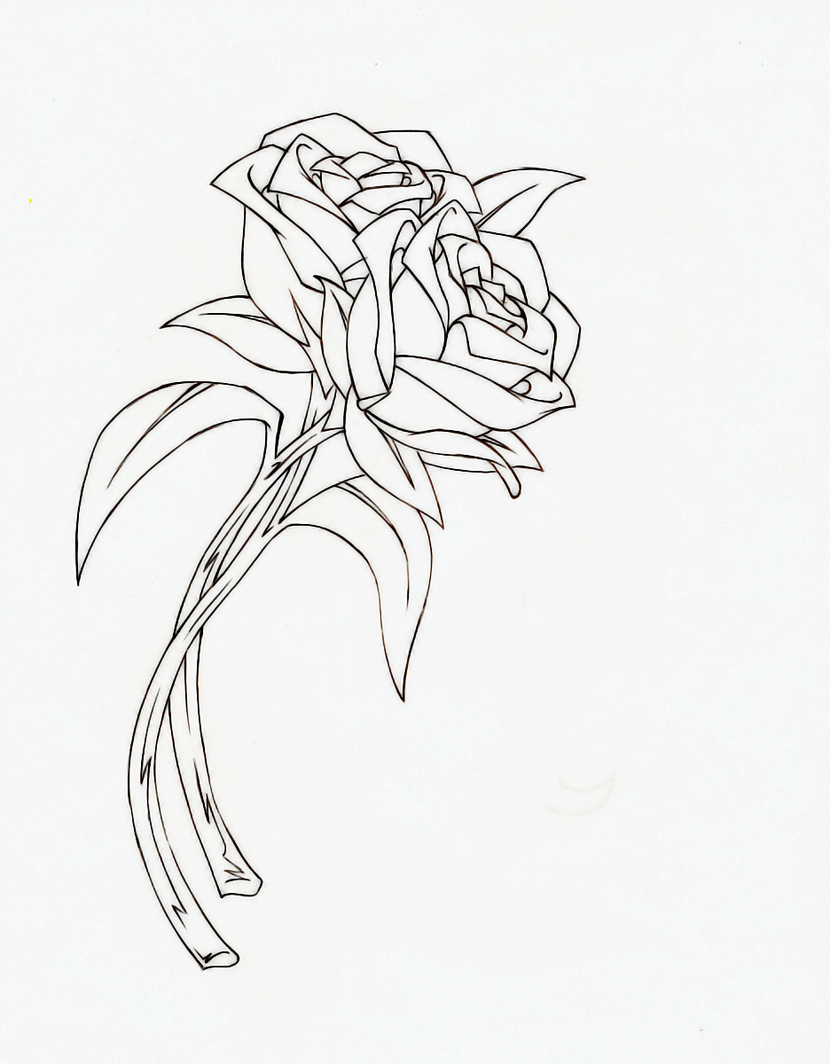 Roses lineart by HammerMario on DeviantArt