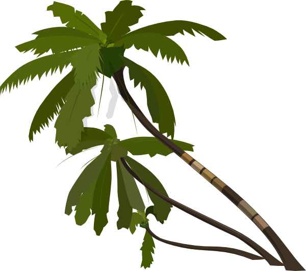 Vector Palm Trees Clip Art at Clker.com - vector clip art online ...