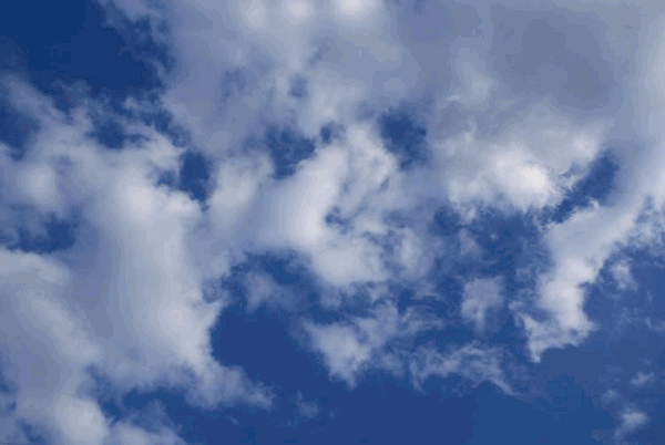 AusWqKj.gif