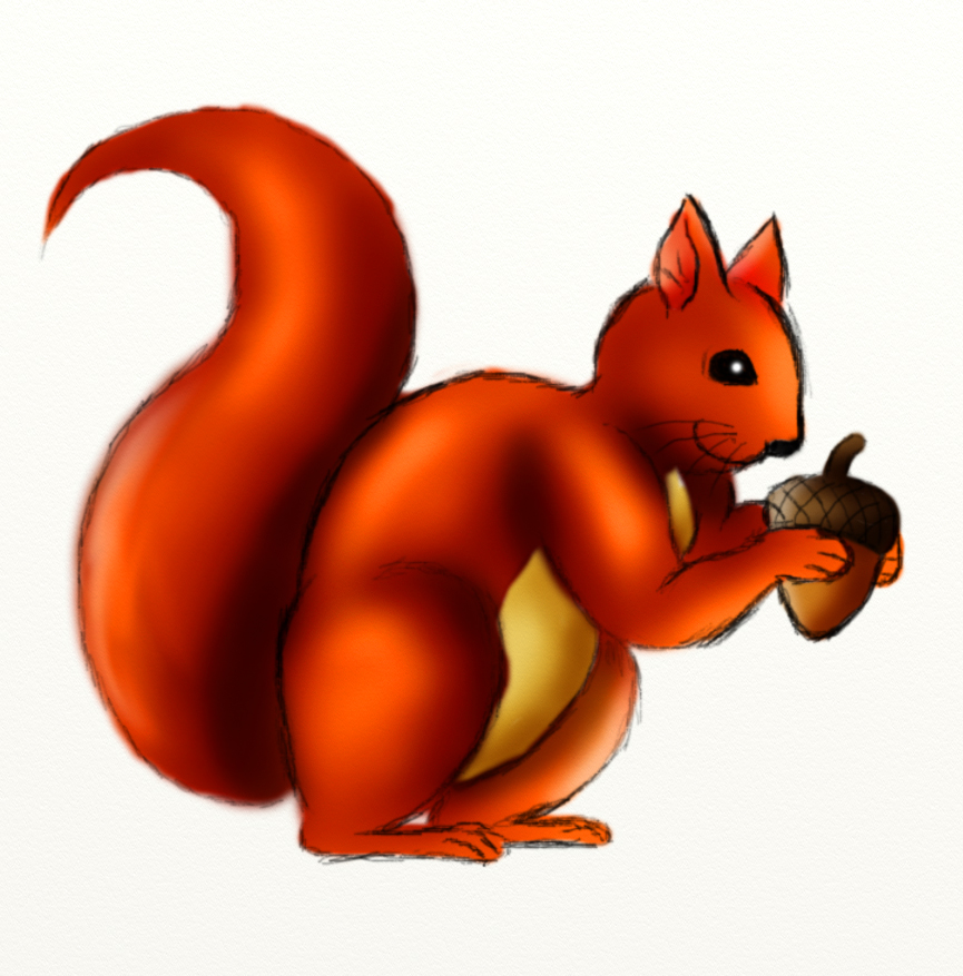 I 365 Art » cartoon squirrel pictures