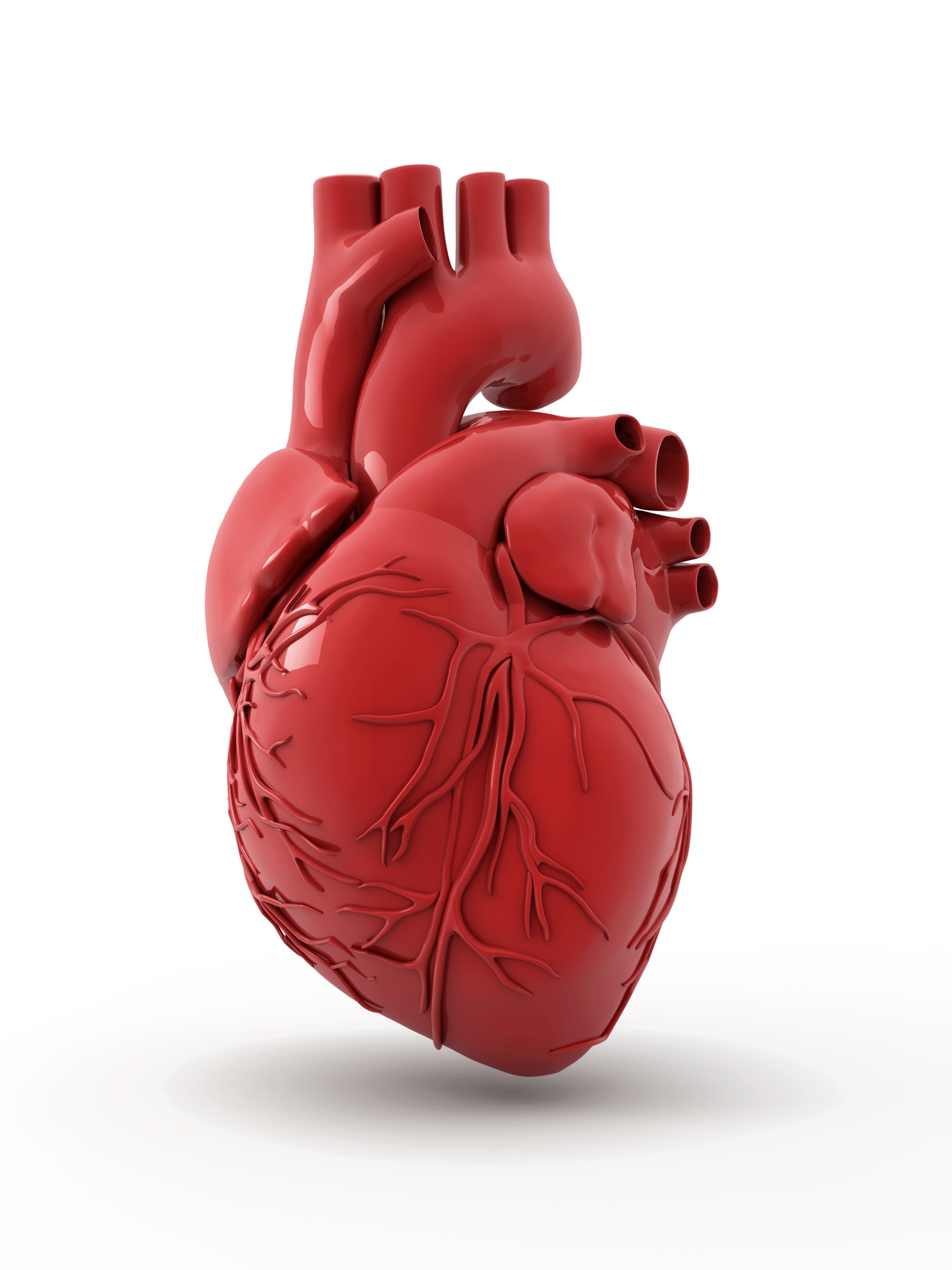 Eating Fruit Cuts Heart Disease Risk by 40% | TIME