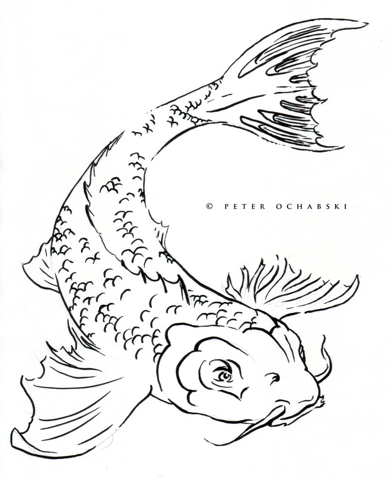 koi catfish by artscientific on DeviantArt