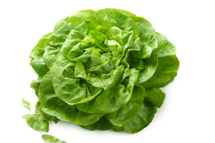 lettuce.jpg