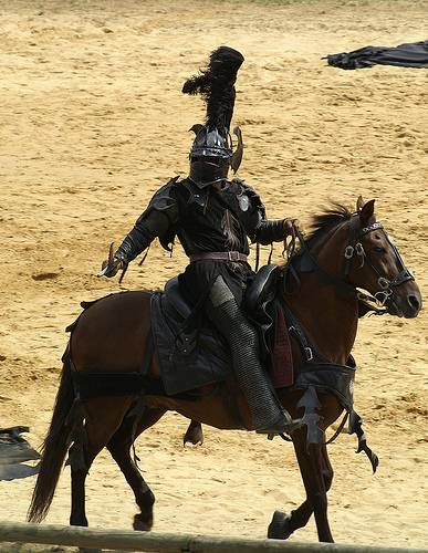 Black Knight | Flickr - Photo Sharing!