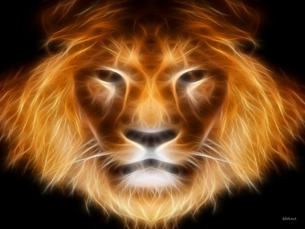 Free Lion Face Wallpaper 1024x768PX ~ Wallpaper Lion Face ...