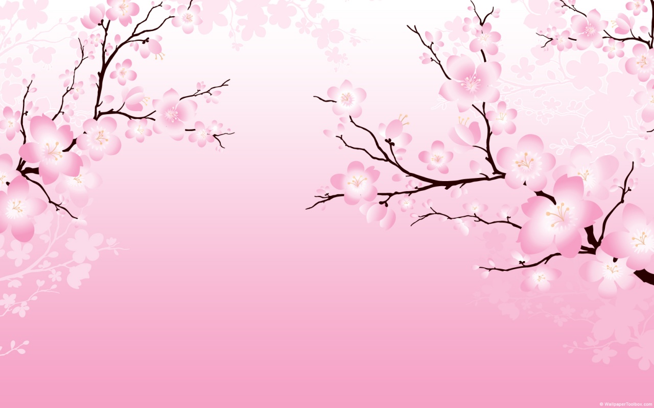 Cherry Blossom Wallpaper #6872756
