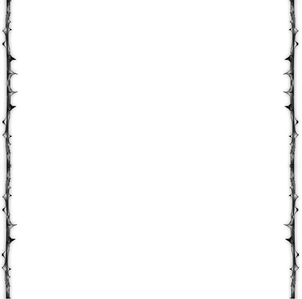 Fire Border With White Background | Clipart Panda - Free Clipart ...
