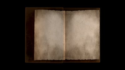 Animated Turning Pages In Old Book Portrait With Alpha Channel ...