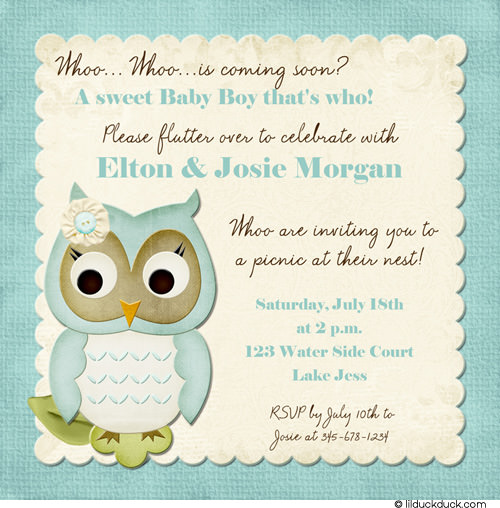 Baby-Owl-Shower-Soft-Boy- ...