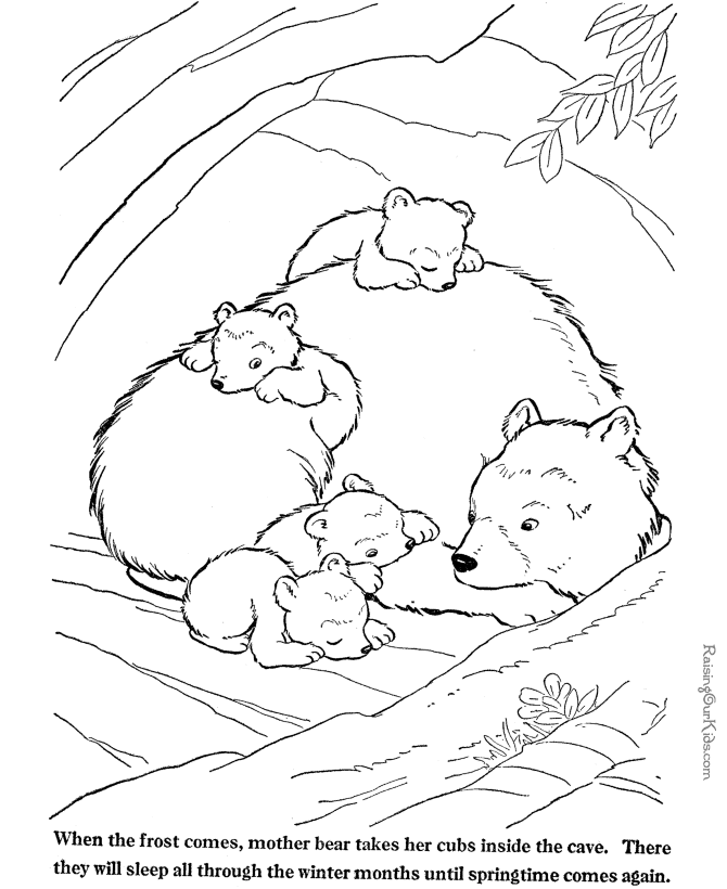 Animals To Color - AZ Coloring Pages