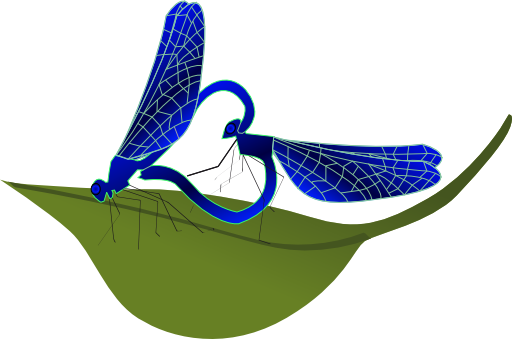 clipart-coupling-dragonfly-512 ...