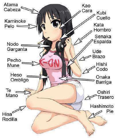 Parts of the Body - Japanese by NatalyTheHedgehog1 on DeviantArt