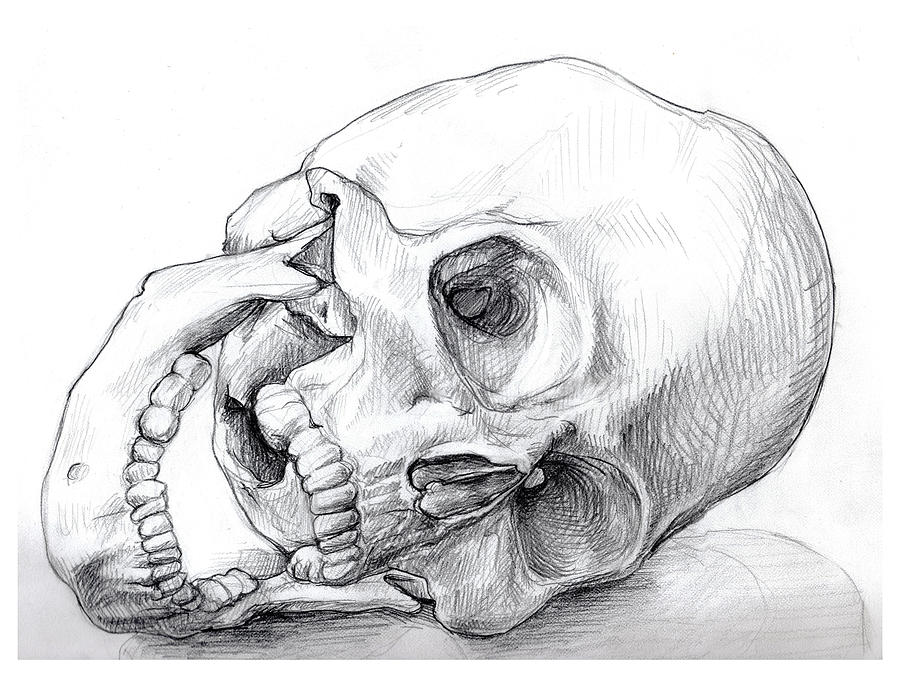 Big Skull Drawing | Viralnova