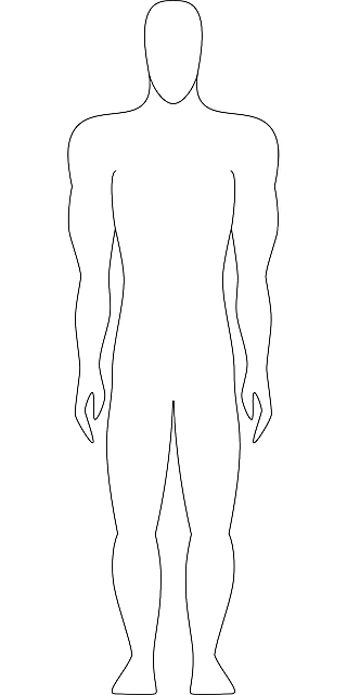 DIAGRAM, OUTLINE, DRAWING, PEOPLE, MAN, SILHOUETTE - Public Domain ...