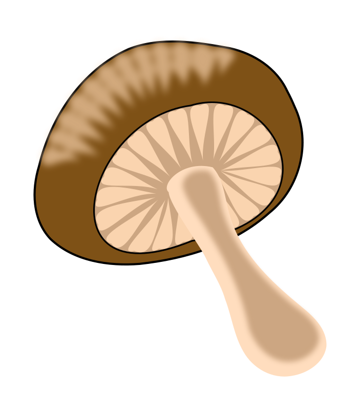 Free Brown Mushroom Clip Art