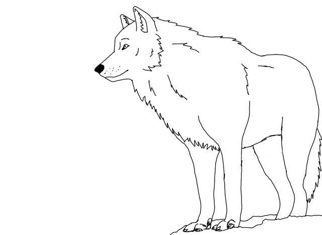 Snow Wolf Outlines by BlackLightning95 on DeviantArt