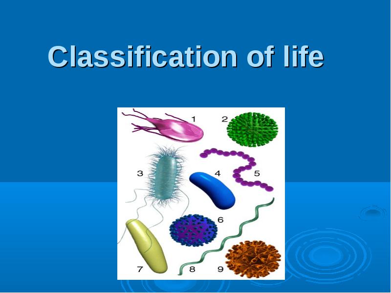 Introduction to microbiology. Classification and nomenclature of ...