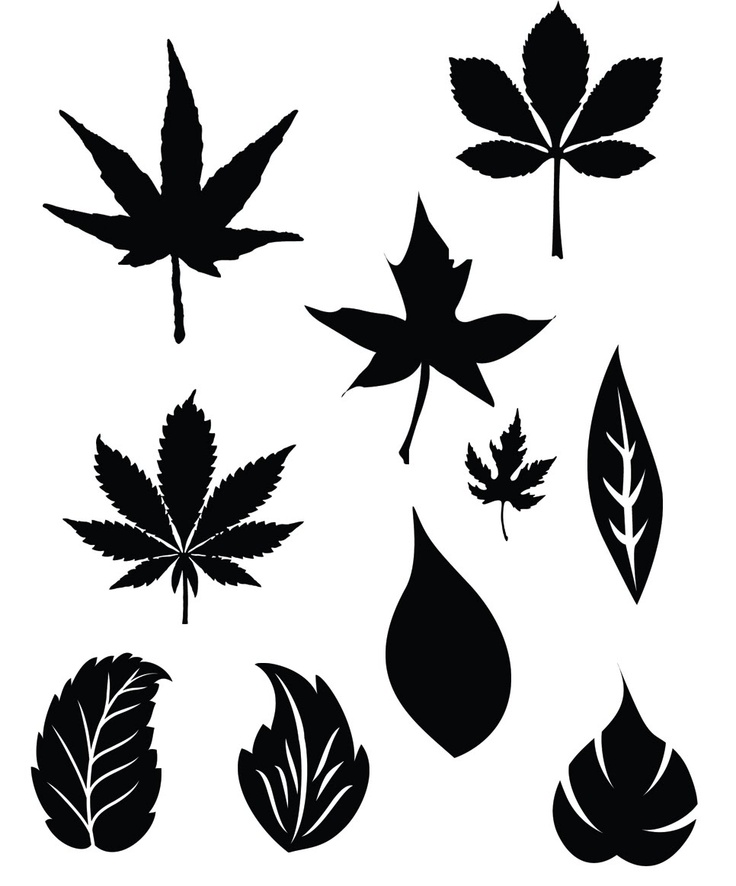 More Leaves SVG | Cards / flowers | Pinterest