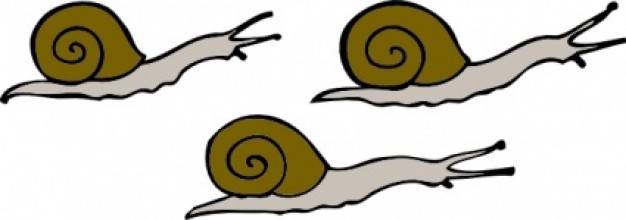 Snails clip art Vector | Free Download