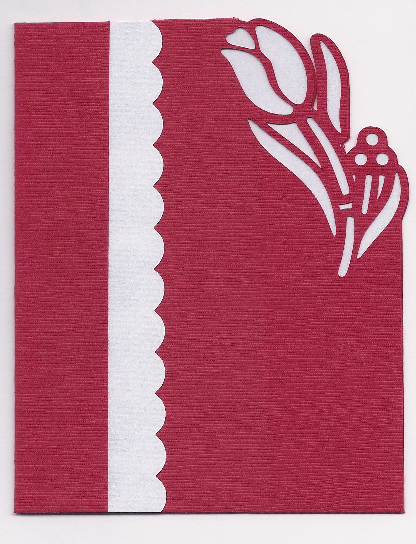 Digital Die Cutting With Sandy McCauley » KNK