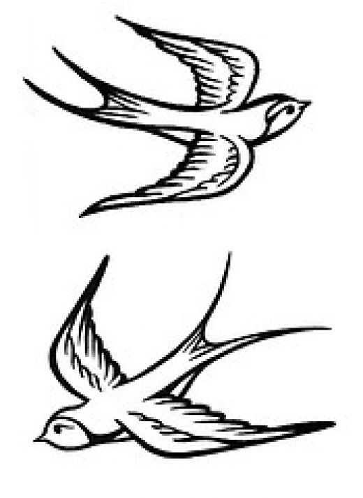 Swallow vs. Sparrow Tattoo | The Curateur - ClipArt Best - ClipArt ...