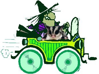 witch car?? | WeCrash Demolition Derby Message Board