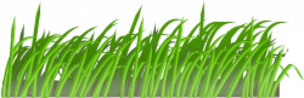 Grass texture Vector | Free Download
