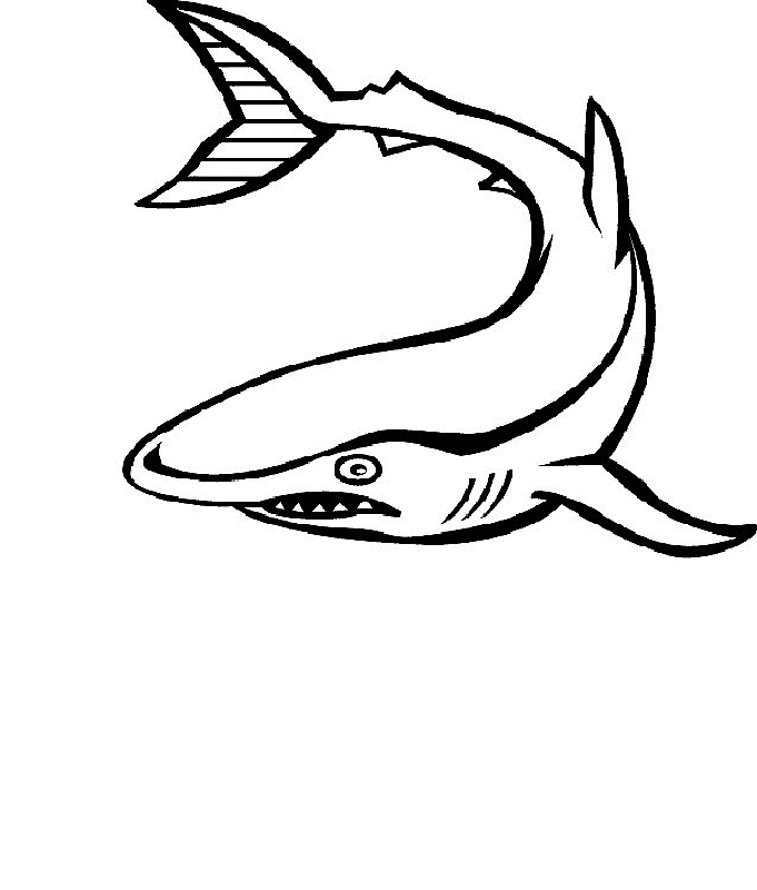 Fish and Sea animals | Free Printable Coloring Pages ...