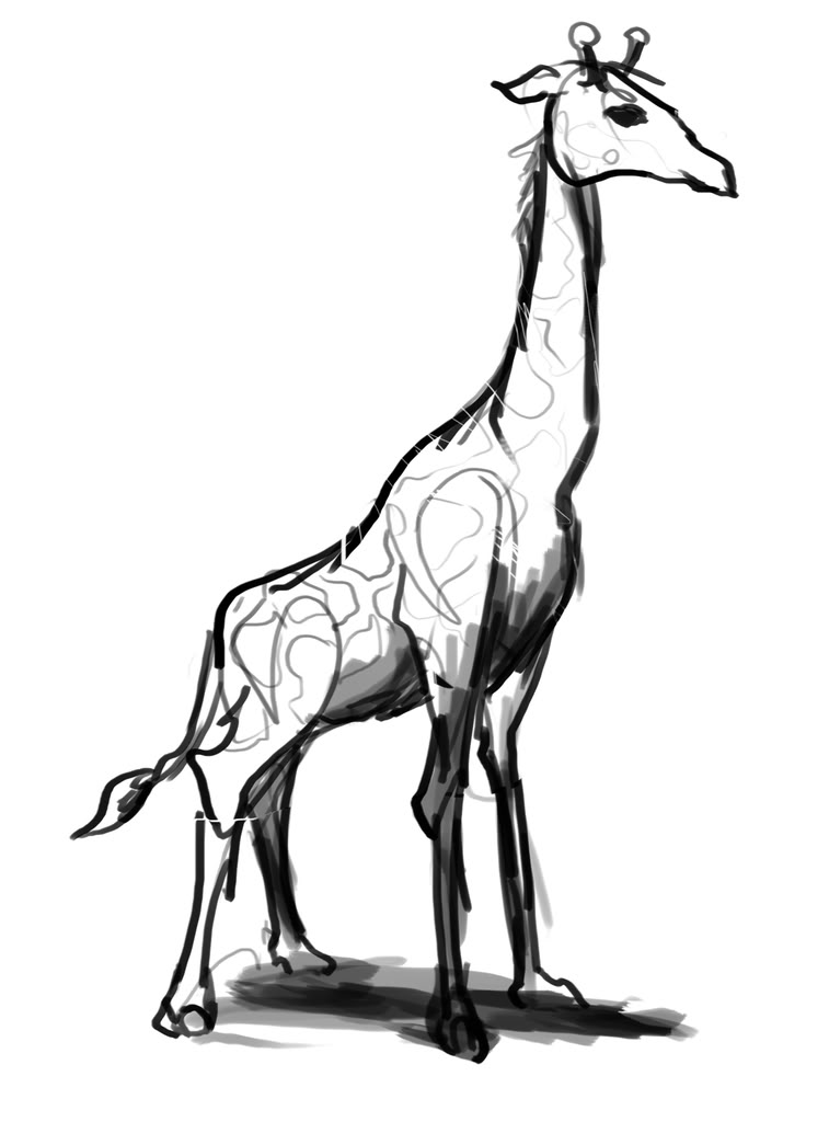 Giraffe Line Art - Cliparts.co
