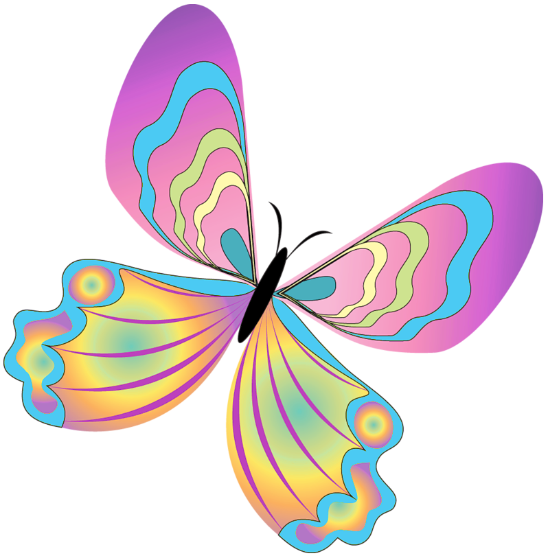 Painted Butterfly PNG Clipart