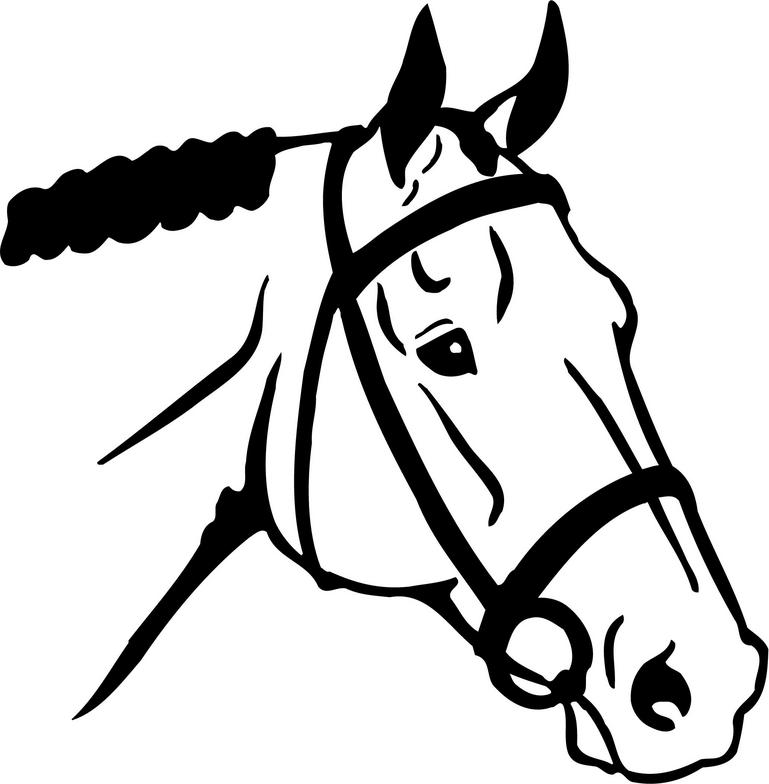 Horse Head Illustration - Cliparts.co