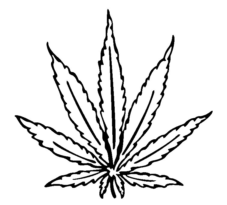 Cannabis Leaf Drawing I image - vector clip art online, royalty ...
