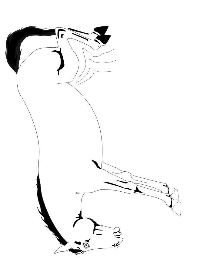 Horse Coloring Page | Bucking Horse