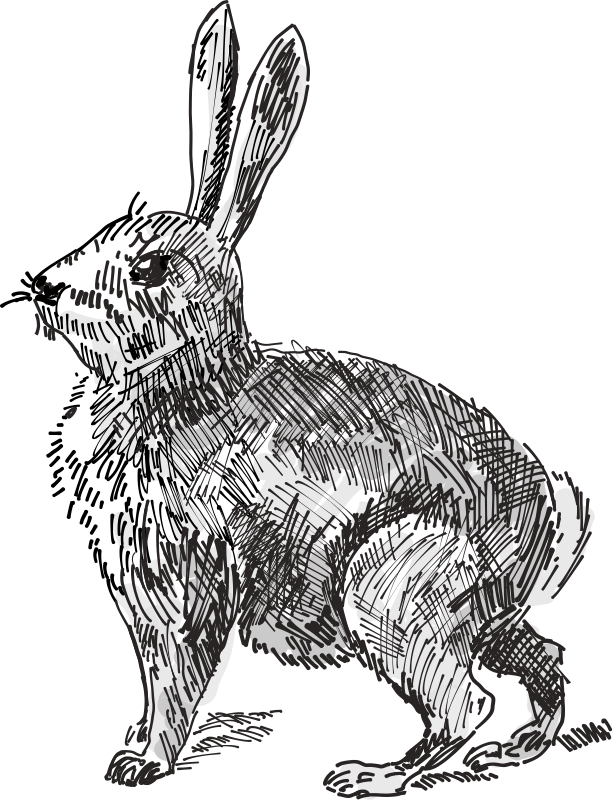 Running Rabbit Outline Clip Art Download