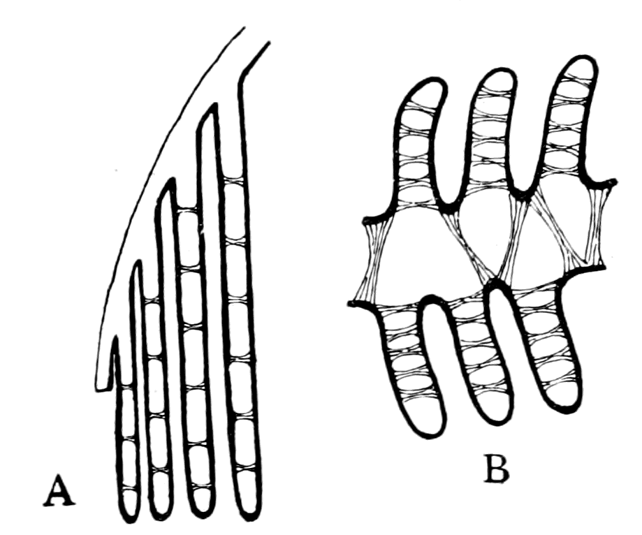 fig069.png